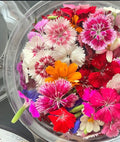 Flores Mixta
