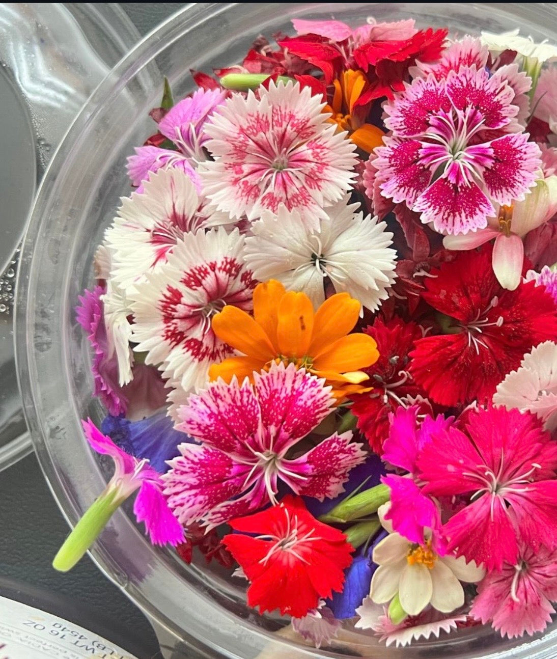 Flores Mixta