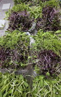 Garnish mix