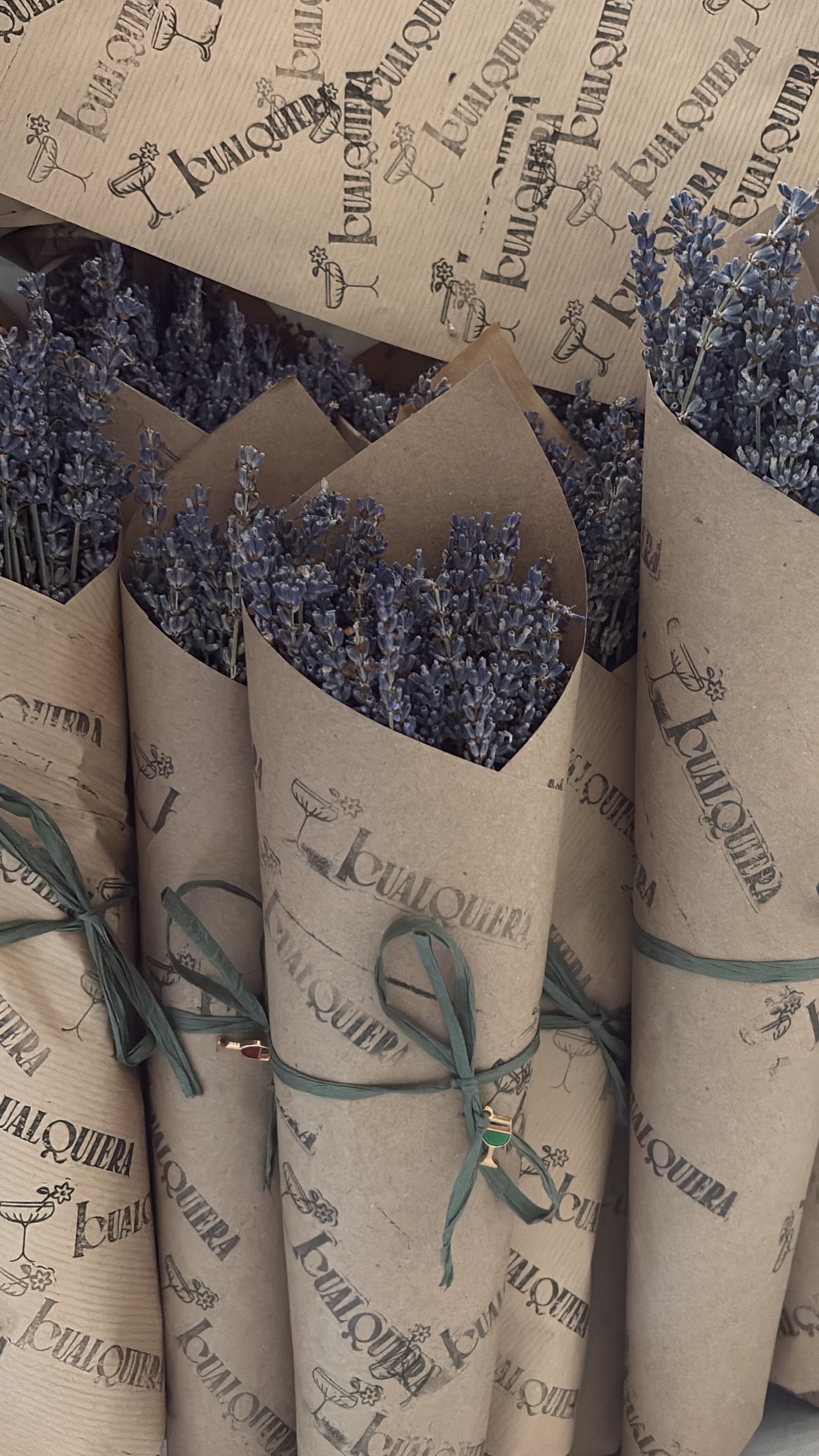 Lavanda